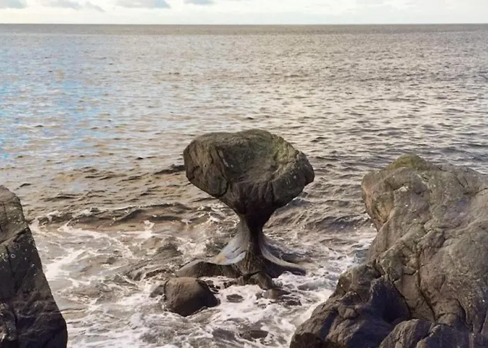 8 Person In Maloy-by Traum * Maloy